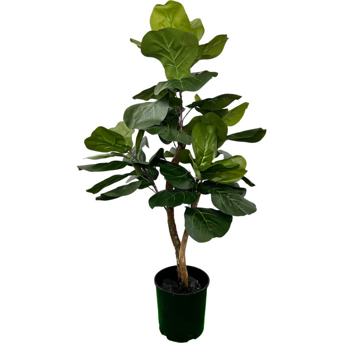 Primrue HandMade Primrue Artificial Fiddle Leaf Fig Tree & Reviews